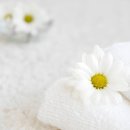 세탁종합병원 이미지