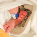 산양 | 제왕절개 후기 위드맘 산양 제왕 분유추천 황금변 아기 분유 갈아타기