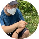 산본참닭강정 이미지