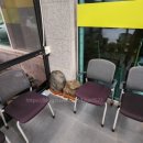 본추어탕 이미지