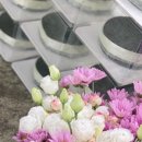 키즈포레유치원 이미지