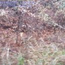 사량초등학교읍덕분교장 이미지