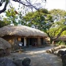 이조 카카오 검색결과