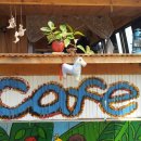 오고생이 이미지