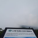 산림청100대명산｜오대산 노인봉 등산후기/ 하산식 솔재_옹심이, 메밀전병, 숨쉬는 제빵소_감자빵