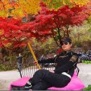 테라카페 - 천안시 동남구 통정8로 6-30 | 테라카페