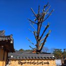 남사-20 | 산청 남사예담촌 예와담 한방족욕체험 후기