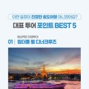하나월드여행 이미지