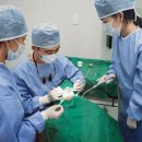 서울더바른치과의원 이미지