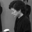 금두꺼비 이미지