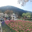 세교화원 이미지
