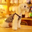 루이펫샵 이미지