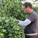 병곤농장 이미지