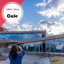 경상북도 경주시 안강읍 안강중앙로 233 | 경주 안강에 있는 분위기 좋은 파라안 카페 방문 후기입니다.