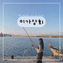월포상회 - 포항시 북구 죽도시장6길 3-12 | 포항 이가리닻 전망대 낚시체험 데이트 카페🐟 - 이가상회 (물고기잡음)