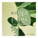 안의농약사 | 우리식물모임] 가든킹님과 함께하는 &#39;희귀식물과 플랜트렌드&#39; 식물모임 후기(2)(feat.알로카시아 프라이덱)