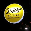 제주에 오길 잘했다 이미지