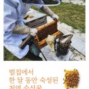 ‘서기다’에서 꿀수넣어 만든 미백 기능성 꿀화장품 앰플, 크림 사용 후기