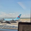 뉴욕의원 | 뉴욕 JFK 공항 대한항공 퍼스트클래스 일등석 라운지 후기