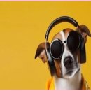 패션 코디네이션(패션스타일)(1) 이미지