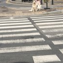몽시떼루 이미지