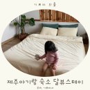 달뷰스테이 | 제주도독채펜션 달뷰스테이 후기｜아기랑 자기 좋은 제주도펜션 추천