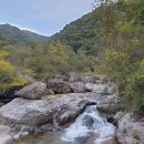 오봉 - 은평구 | 오봉