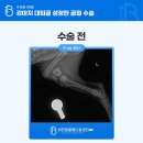 일곡동물병원 이미지