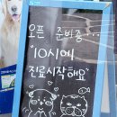 행복동물병원 | 주말 오픈런 필수 - 서귀포 정든동물병원 후기
