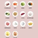 바이탈13 | [🐾 강아지사료추천] 강아지 가수분해 알러지 눈물 사료 페노비스 바이탈코어 시니어 체험 후기