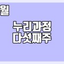 (주)누리미디어 네이버블로그