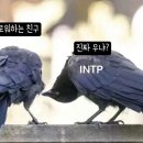 묘묘 이미지