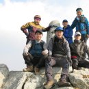 새미래정형외과의원 이미지