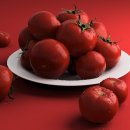 토마토 이미지