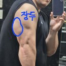 LJ PT 이미지