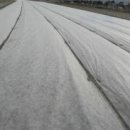 ＜11월 21일 금＞ 출석부입니다 이미지