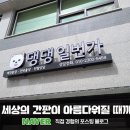 댕댕일번가
