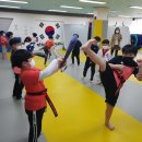 경희 라이온 태권도장 이미지