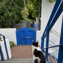 충무당구장 이미지