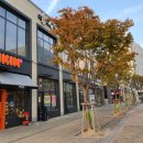 던킨도너츠 세종고운점 이미지