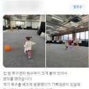 솔레아스풋볼안성 이미지