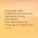 감사365