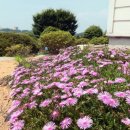 레인보우캐슬리조트 이미지