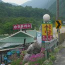 오대산 반찬 이미지