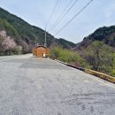 분설담화장실 네이버블로그