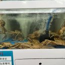 게장군수산 이미지