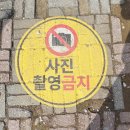 부곡동 돌담해안숲공원 | 동해 가볼만한곳 드디어 열렸다! 비밀의 바닷길 하평해변&amp; 황금빛 돌담마을 해안숲