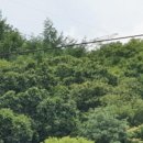 분당-137 이미지