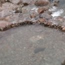 편백흙집세상 이미지