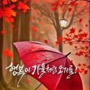 축적의 기쁨, 기쁨의 축적 이미지